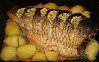 Вкусный карп в духовке на скорую руку: рецепты для всей семьи