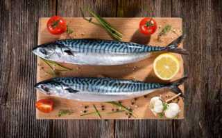 Противостояние сельди и скумбрии: расскажем, какая рыба вкуснее и полезнее