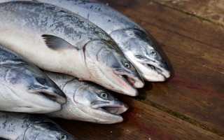 А у нас дешевле: о ценах на рыбу и морепродукты в Италии в этом году