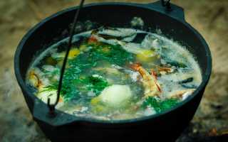 Секреты готовки щуки вкусно и быстро: лучшие рецепты