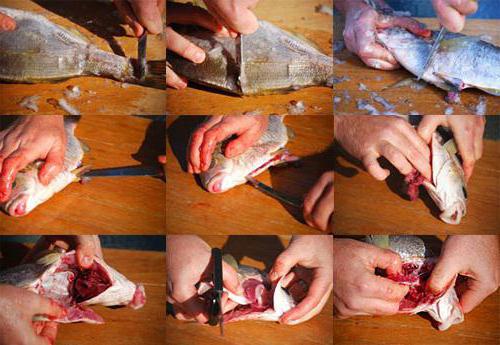 подготовка рыбы к варке