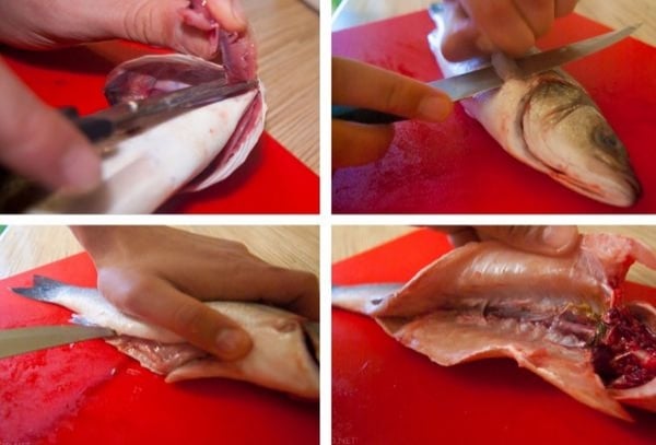 потрошение судака