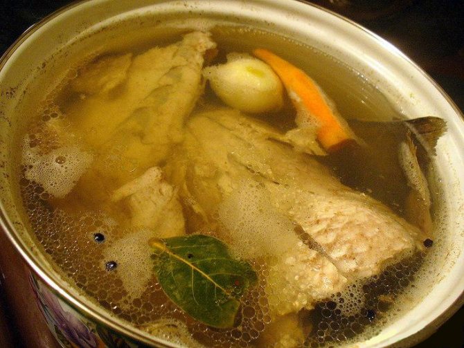 варка ухи из белого амура