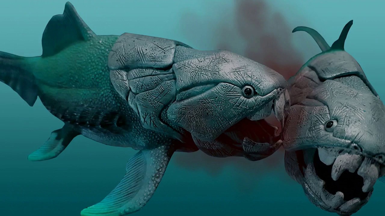 как выглядит бронированная рыба