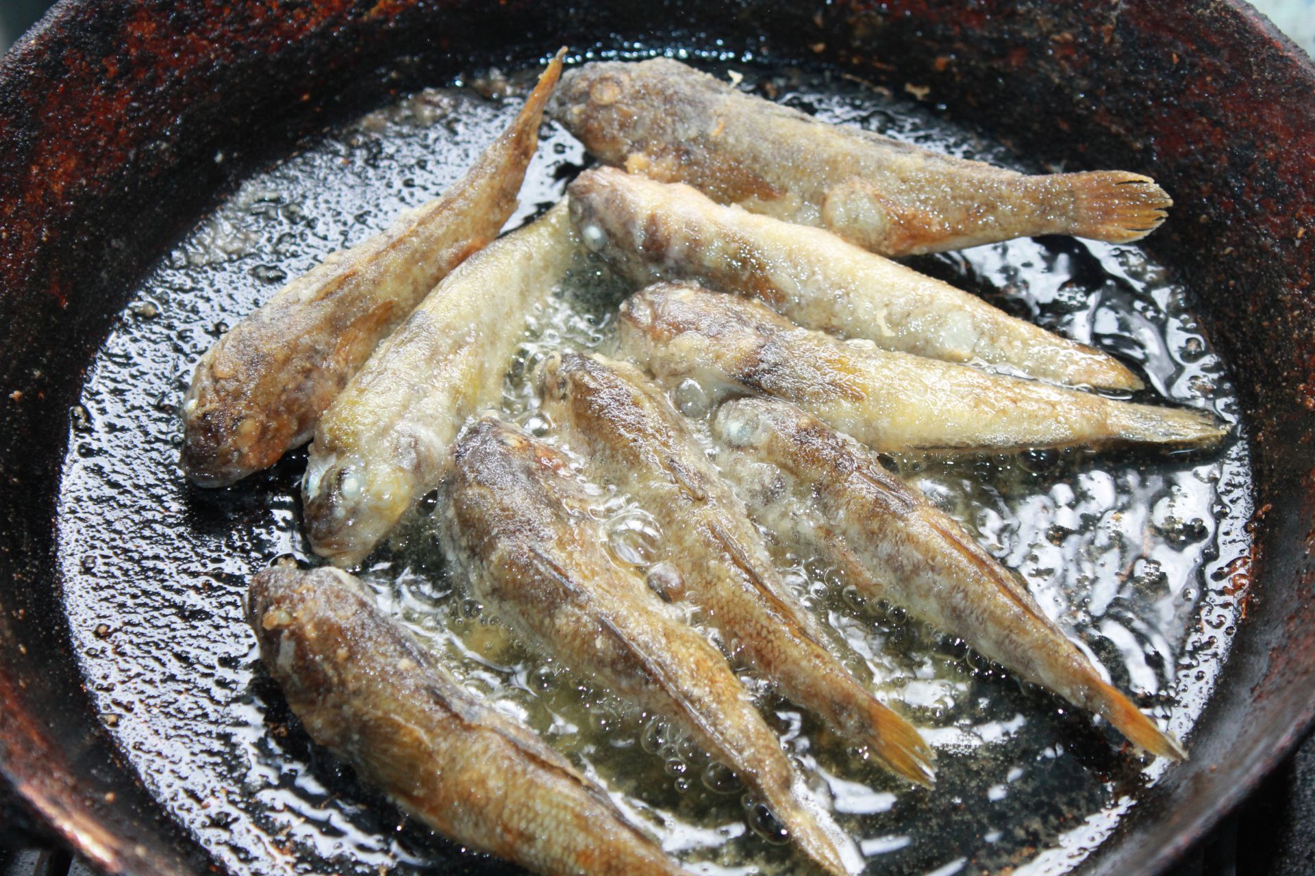 бычки