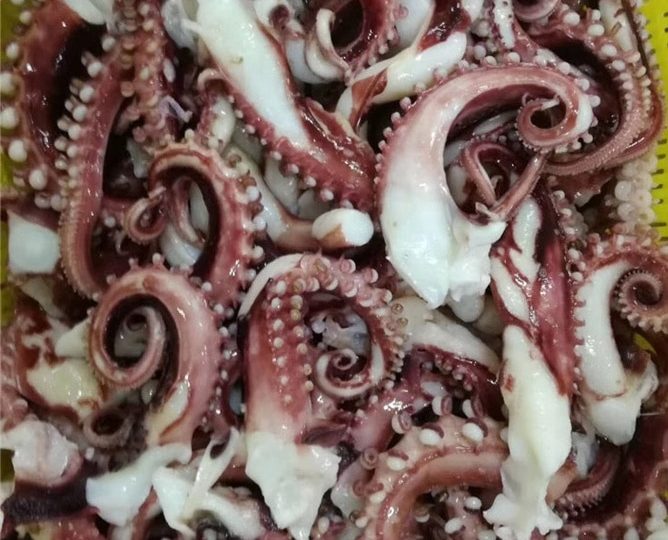 щупальца осьминога