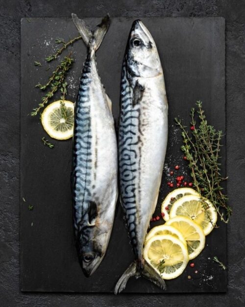 за что ценится скумбрия