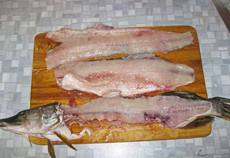 мясо щуки