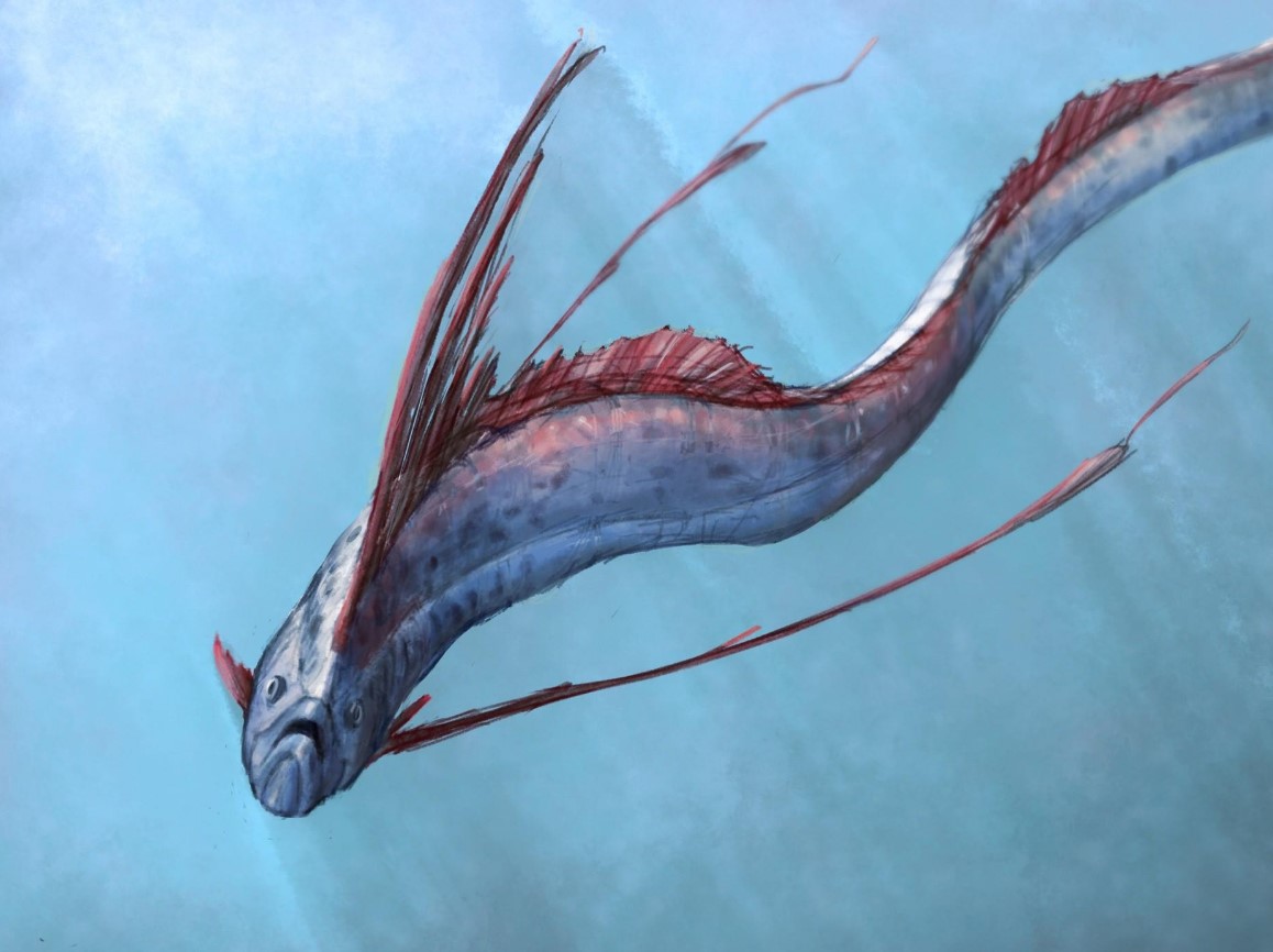 сельдяной король