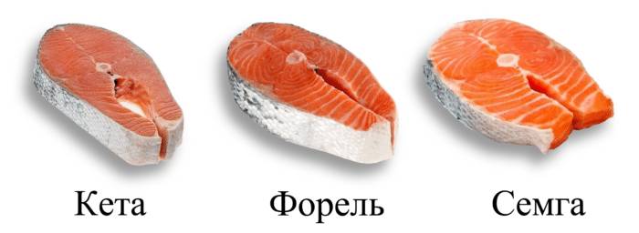 рыба