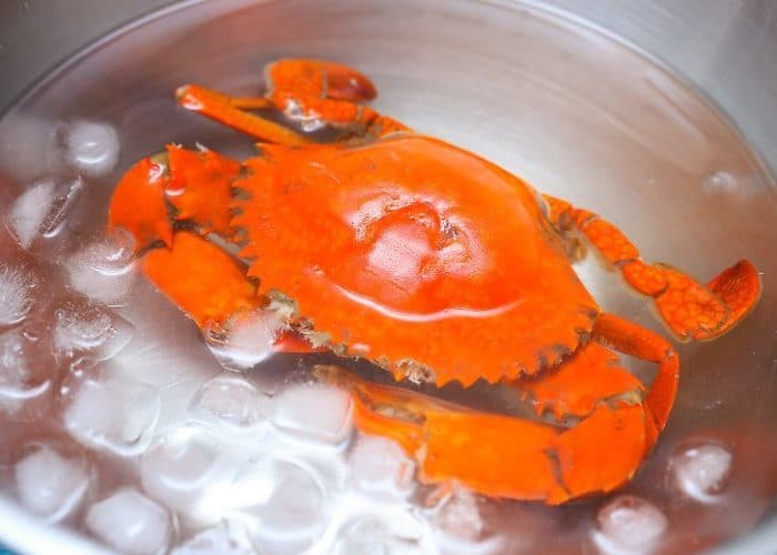 краб со льдом
