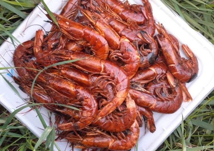 Копченые лангустины на костре 