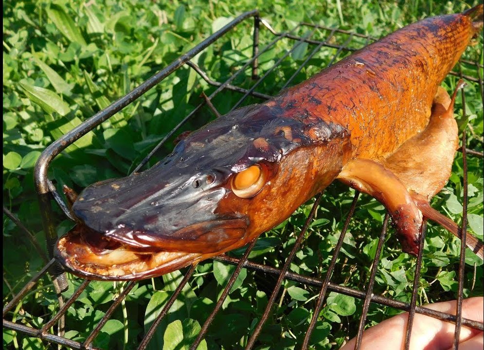 копченая рыба