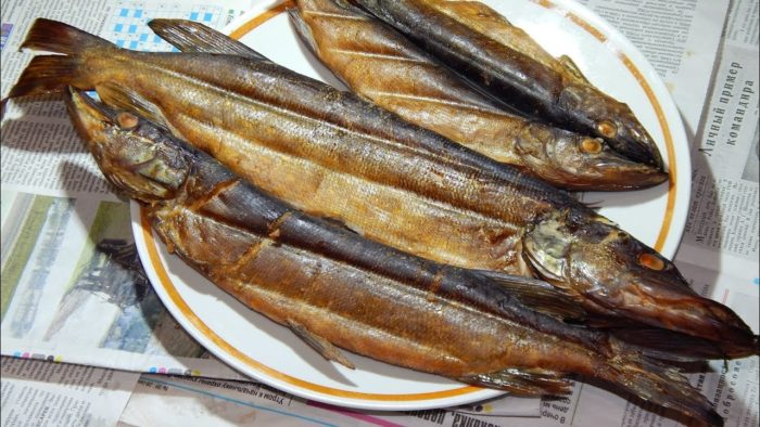 Копченый сарган можно сделать в домашних условиях