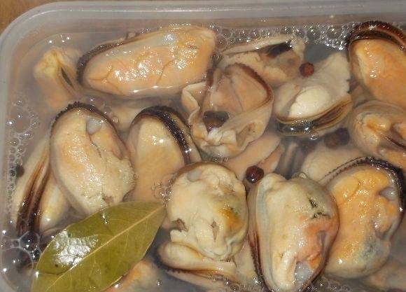 Лучшие рецепты маринованных мидий