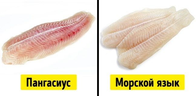 Как приготовить морской язык в кляре - 6 вкусных вариантов