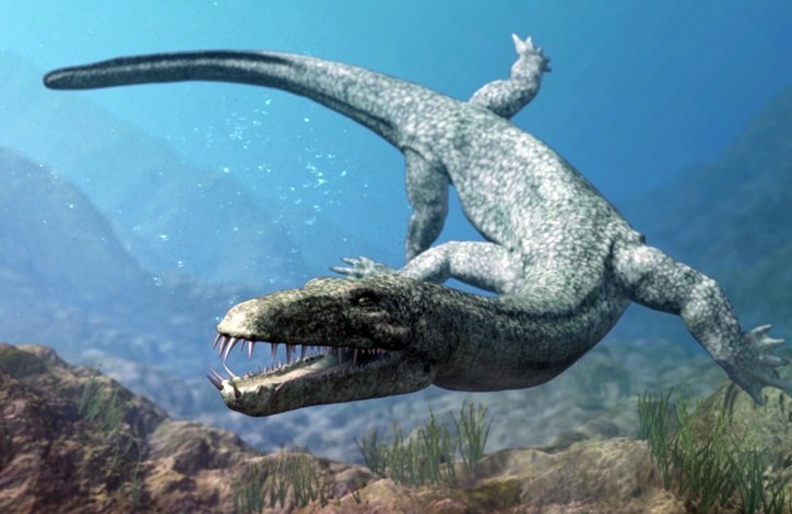 как выглядит нотозавр