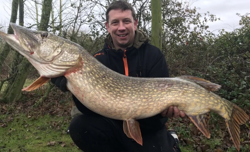 большая рыба щука