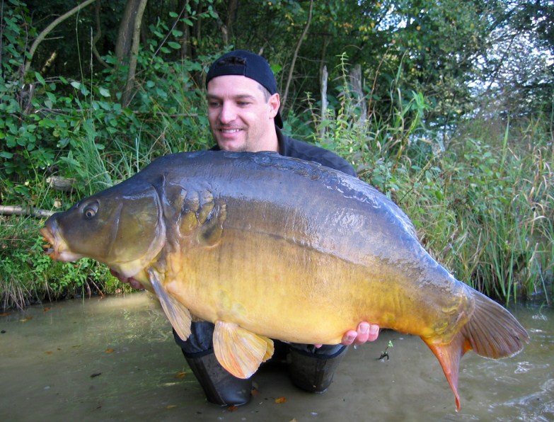 большой карп