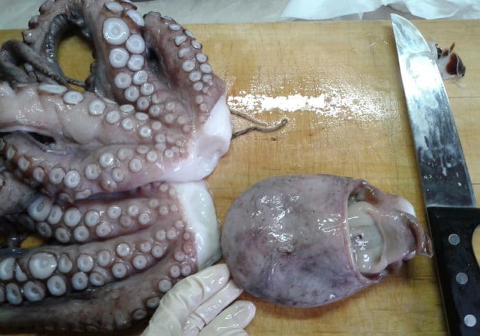 кусочки осьминога