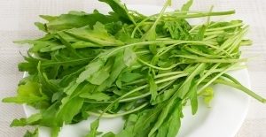 руккола