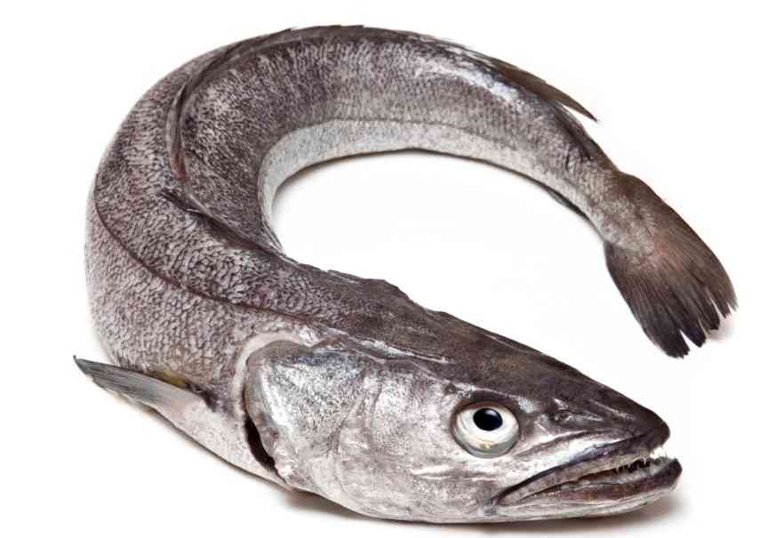 как выглядит хек