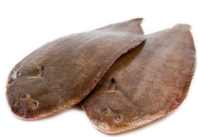 рыба