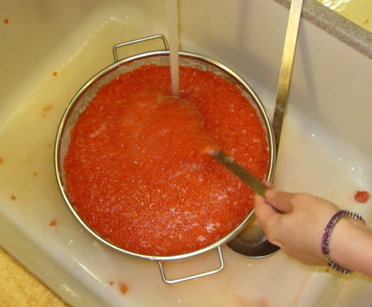 посол икры