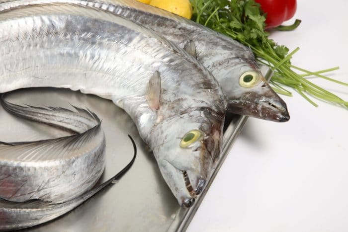 чем полезно мясо рыбы сабли для человека 