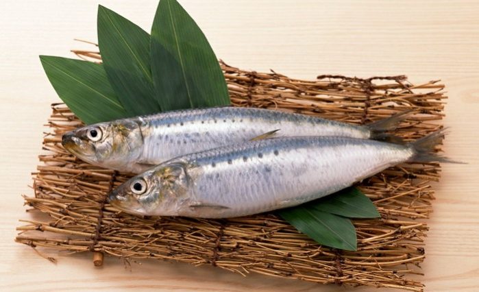 сардина существенно отличается по вкусу от сардинеллы 