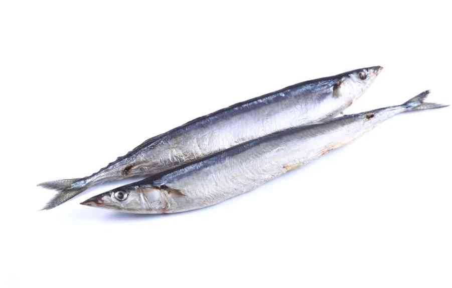 рыба