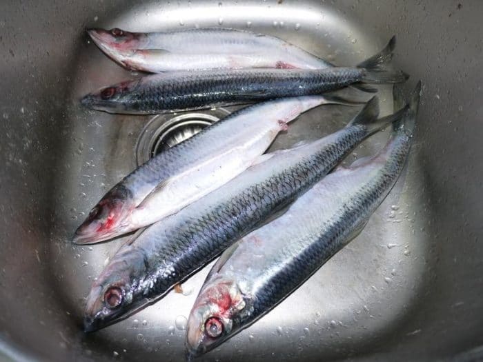 сельдь признана самой полезной 