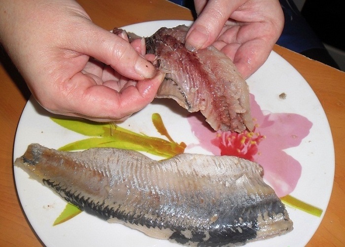 сельдь
