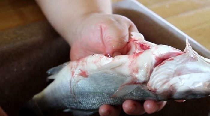 удаление внутренностей из рыбы 