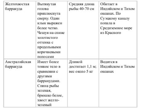 барракуда