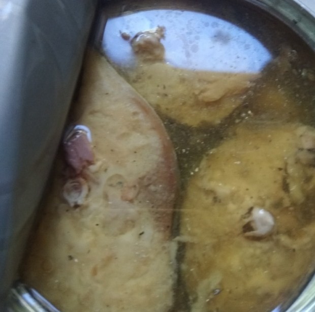 скумбрия 