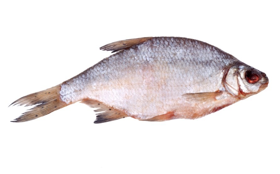 как выглядит сушеная вобла