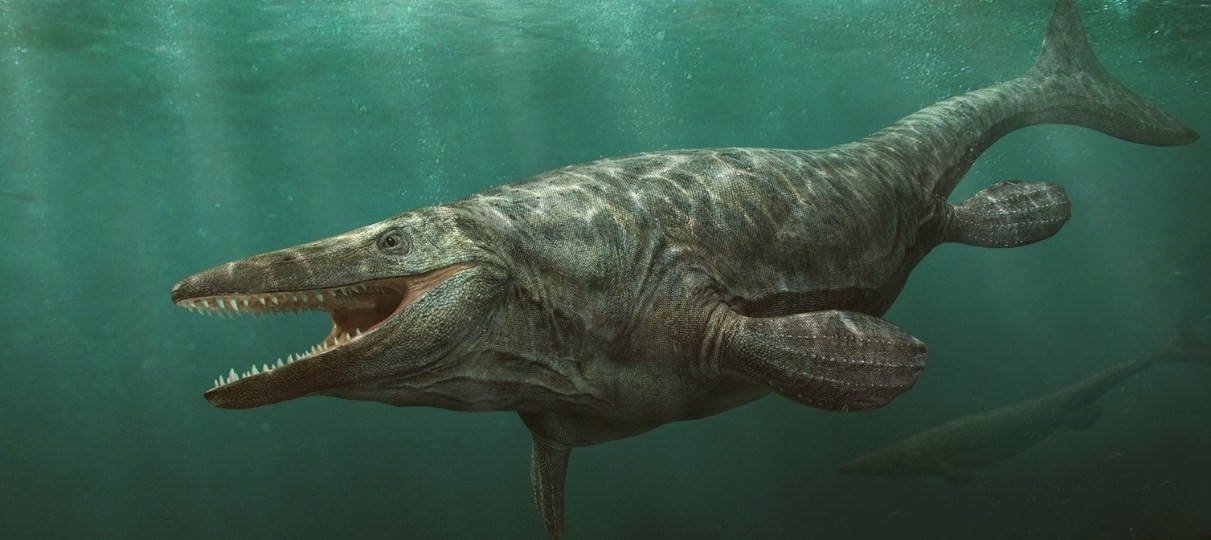 внешний вид тилозавра