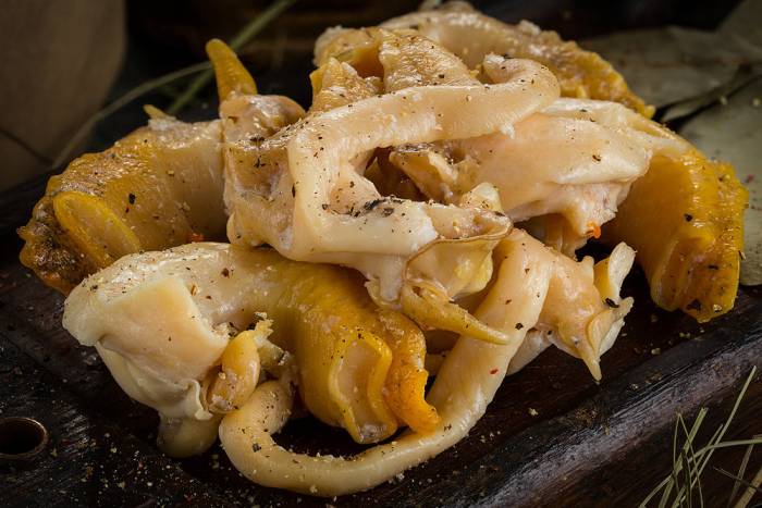 Трубач моллюск