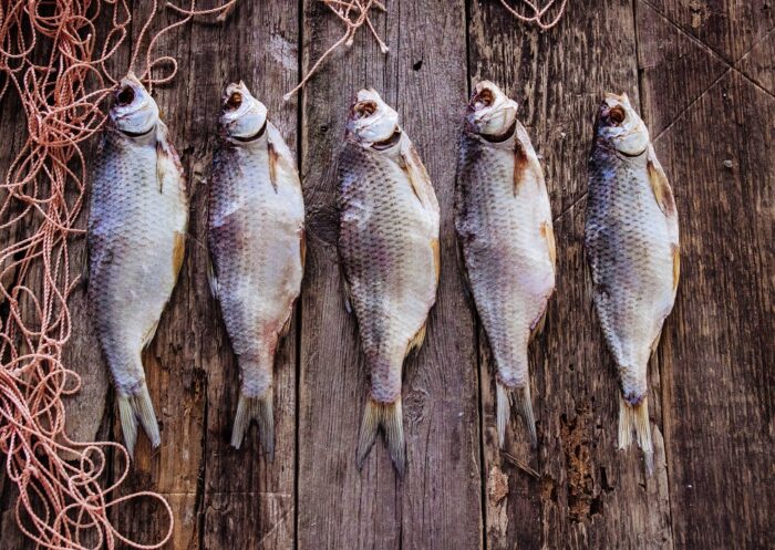 сушеная вобла