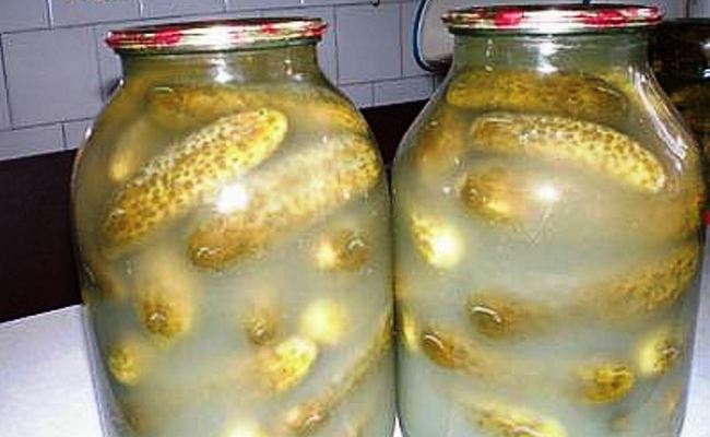помутнели маринованные огурцы