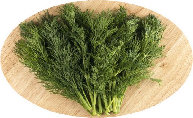 замораживаем укроп веточками