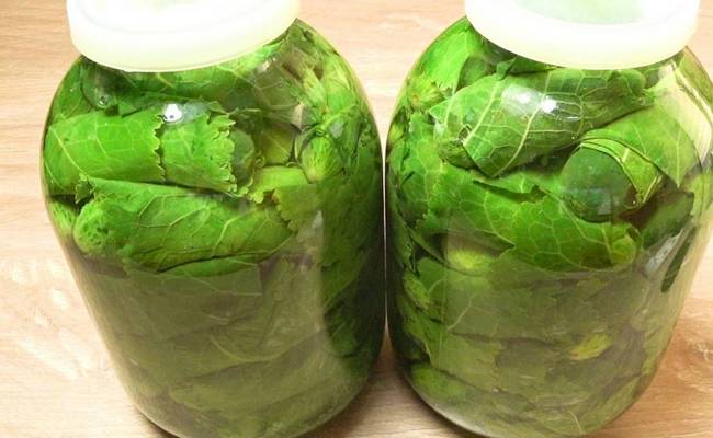 Рецепт приготовления огурцов в листьях хрена горячего засола без использования уксуса