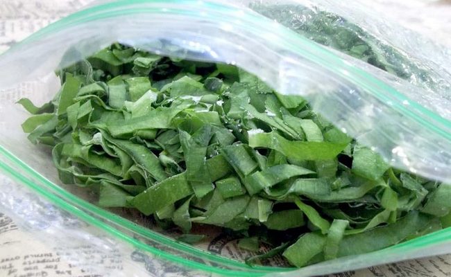 Как сохранить черемшу на зиму