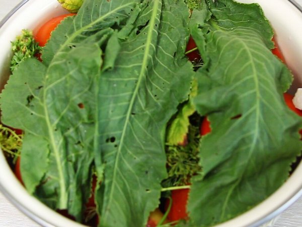 Маринованные острые помидоры за сутки рецепт в домашних условиях Острые маринованные помидоры за сутки с хреном и луком