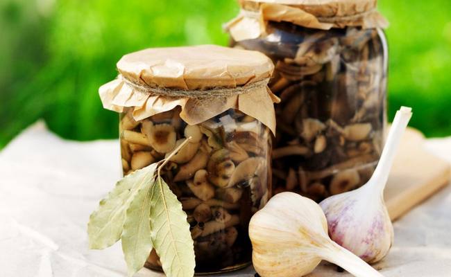 Маринованные опята на зиму в банках