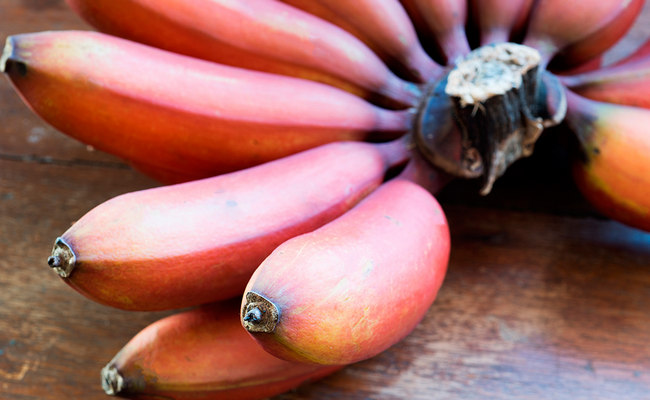 Польза красных бананов