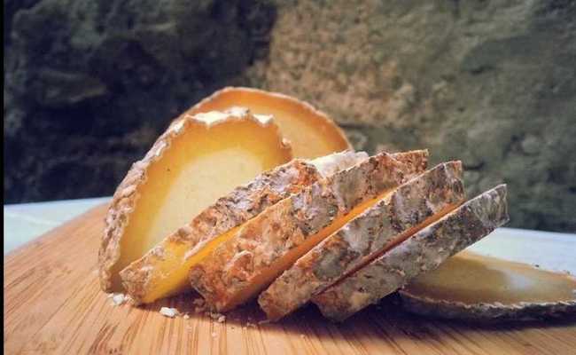 Дамбалхачо – всё о популярном грузинском плесневом сыре